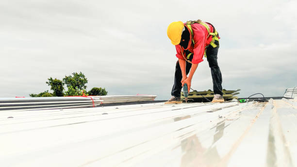 Best Roof Insulation Installation  in Deerwood, TX