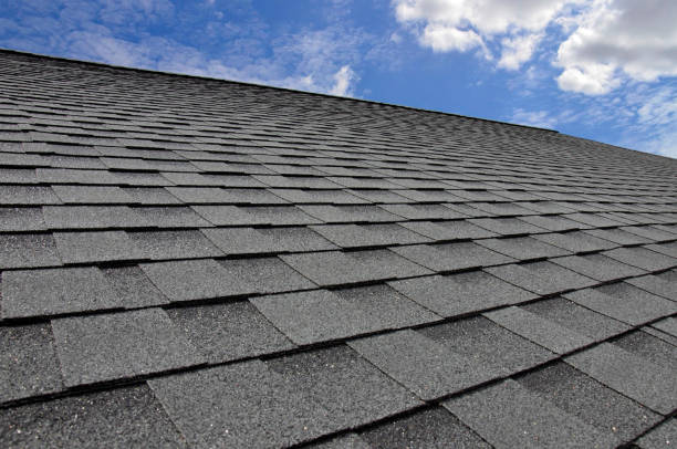 Best Roof Maintenance and Cleaning  in Deerwood, TX